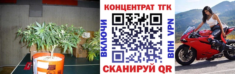 ТГК THC oil цена наркотик Усть-Джегута